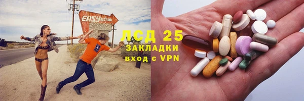 таблы Новозыбков