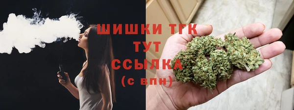 таблы Новозыбков