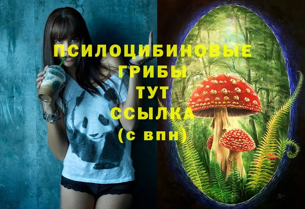 таблы Новозыбков