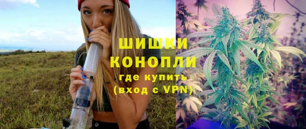 таблы Новозыбков