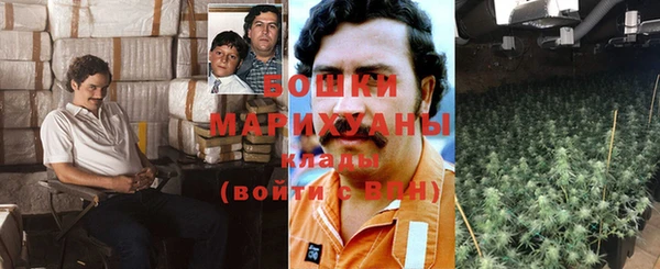 прущие грибы Тихорецк