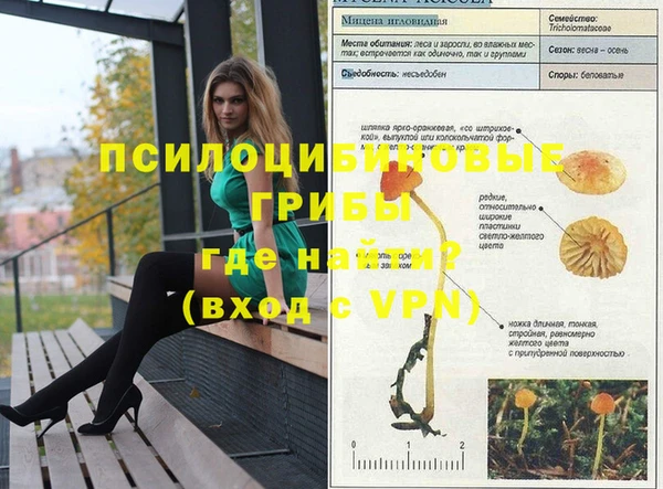 ALPHA-PVP Новодвинск