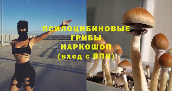 ALPHA-PVP Новодвинск