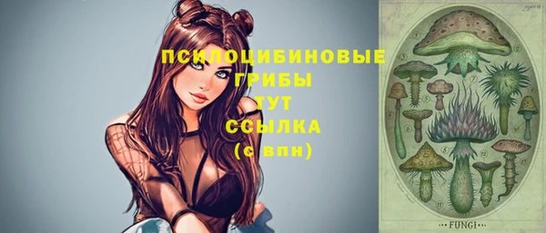 ALPHA-PVP Новодвинск