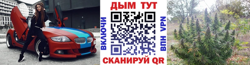 Каннабис план  блэк спрут tor  Харабали 